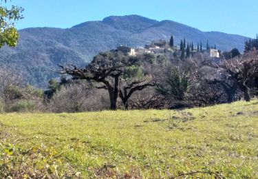 Percorso Marcia Nyons - Nyons vieil Aubres par le col d'Aubenas et retour le long de l'Eygues - Photo