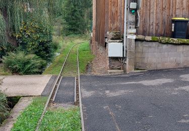 Tour Wandern Alberschweiler - Abreschviller les deux rivières - Photo