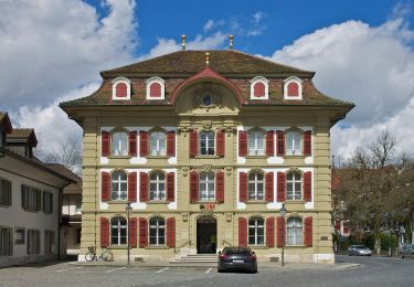 Tour Zu Fuß Safenwil - Altes Schützenhaus - Rottannen - Photo