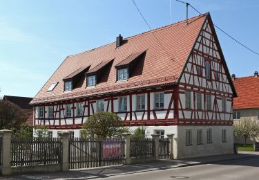 Tour Zu Fuß Münsterhausen - Gewässerinformations Erlebnispfad Münsterhausen - Photo