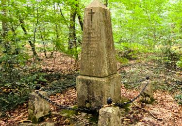 Percorso A piedi Fontainebleau - Fontainebleau les monts de Fay - Photo