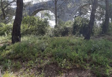 Trail Walking Castries - 34 aqueducs de castrie - Photo