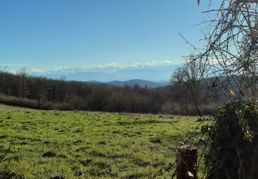 Trail Walking Aurignac - Sentier des 7 collines - Balades et randonnées au Pays de l'Aurignacien - Photo