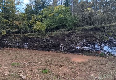 Tour Wandern Seraing - site en réhabilitation du bois St jean  - Photo