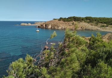 Randonnée Marche Cerbère - Cerbère Llança Litoral2 - Photo