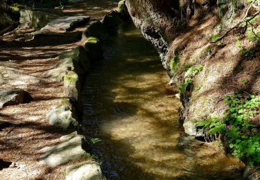 Trail On foot Moos in Passeier - Moso in Passiria - 6A - Photo