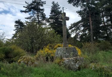 Trail Walking Rocles - la croix Blanche - Photo