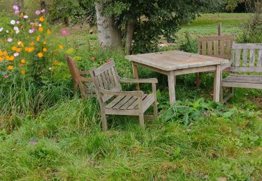 Tocht Stappen 's-Gravenbrakel - Promenade Piedescaus - Photo