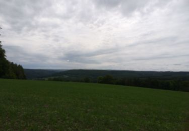 Tocht Stappen Ferrières - werbomont  - Photo