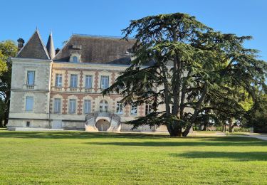 Tour Wandern Cussac-Fort-Médoc - estuaire en partant de cussac fort médoc  - Photo