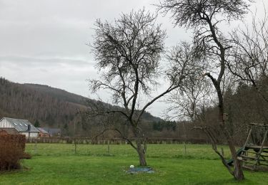 Randonnée Marche Lierneux - Boucle de Bra - Photo