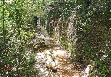 Trail Walking Signes - ruisseau du Latay - Photo
