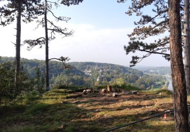 Trail Walking Namur - 2021 09 MLD Abbaye Etoile ×2 - Photo