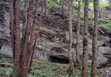 Tour Wandern Lans-en-Vercors - Du col de croix de Perrin au Pas de Bellecombe - Photo