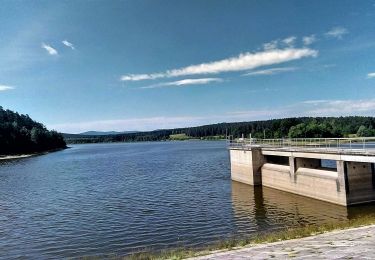 Percorso A piedi Ilmenau - Rund um den Stausee Heyda - Photo