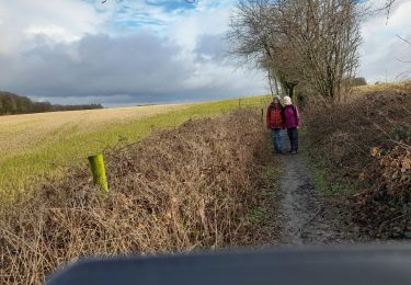 Tocht Stappen Genepiën - Bousval  - Photo