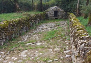 Tour Wandern Pégairolles-de-l'Escalette - pas de l 'escalette - Photo