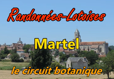 Tour Wandern Martel - Martel_Botanique - Photo