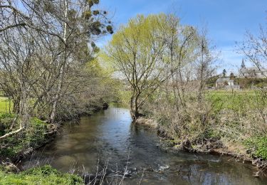 Tour Wandern Braives - Fumal - Photo