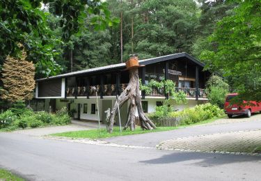 Tour Zu Fuß Furth im Wald - Fu51 Sengenbühler Rundweg - Photo