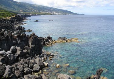 Trail On foot Piedade - Porto Calhau - Manhenha - Photo