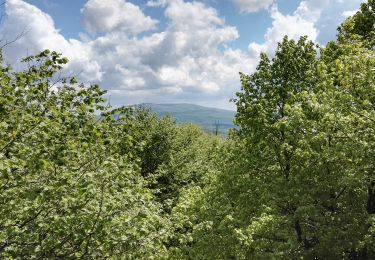 Excursión A pie Pásztó - Z+ (Pásztó-Keresztesi nyereg) - Photo