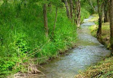 Randonnée Marche Herbeumont - Very Romantic Trail along the river 'L'antrogne' - Photo