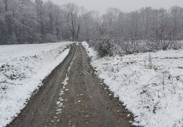 Trail Walking Jemeppe-sur-Sambre - Balade à Spy 14/01/21 - Photo