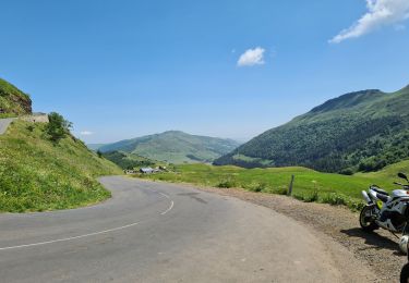 Tour Wandern Laveissière - Le Lioran Puy Mary - Photo