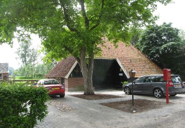 Tour Zu Fuß Wierden - WNW Twente - Wisselmaat/Ypelo - paarse route - Photo