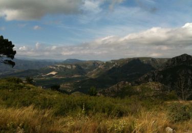 Randonnée A pied Gandia - Senda de la Cova del Parpalló - Photo