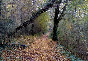 Trail Walking Lanquais - Lanquais - Photo