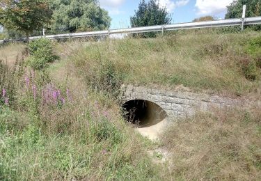 Tour Zu Fuß Bruchsal - BR - 12 Obergrombacher Burgweg - Photo