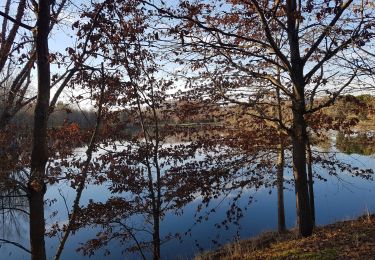 Randonnée Marche Lamagistère - Coupet retenue canal lac bleu - Photo