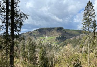 Tocht Stappen Cornimont - Col du Brabant - croix Louis par Mansuy et Boulaite - Photo