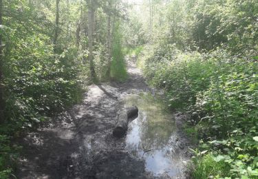 Tocht Stappen Bergen - Cuesmes - Héribus - Photo