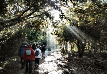Trail Walking Royan - Jaffe 17  (9km4) - Photo