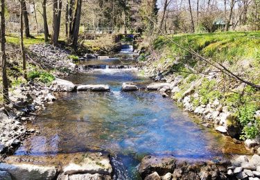 Randonnée Marche Chimay - Promenade de l’eau blanche  - Photo