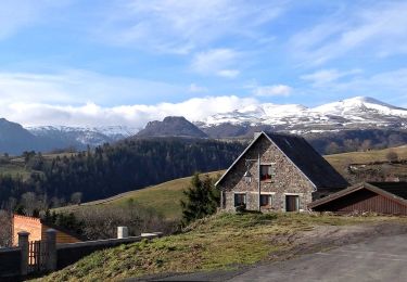 Trail Walking Chambon-sur-Lac - Chambon_Moneaux - Photo