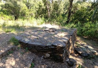 Tour Wandern Les Arcs-sur-Argens - Apié de Raynaud et Terriers - Photo