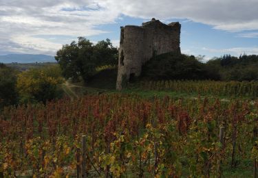 Tour Wandern Larnage - larnage - Photo