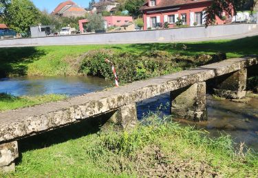 Tour Nordic Walking Colombier - colombier - Photo