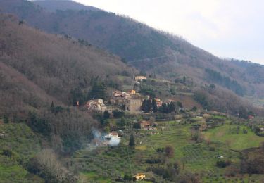 Randonnée A pied Capannori - Sentiero n.3 