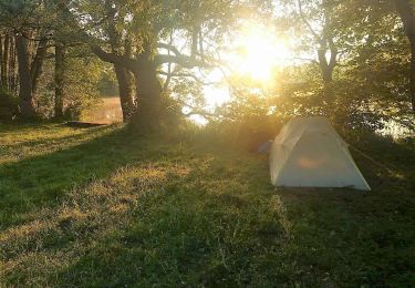 Randonnée A pied Ratzeburg - Rundweg Küchensee - Photo