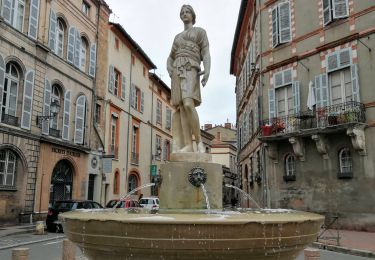 Tocht Stappen Toulouse - Fontaines de Toulouse - Photo