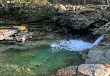 Tour Wandern Lucciana - lac de nino - Photo