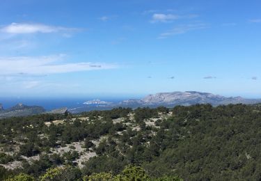 Trail Walking Ceyreste - Les crêtes de Cereste  - Photo