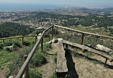 Percorso A piedi Teià - SL-C 111 Ruta del Vedat - Photo