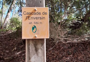 Tour Wandern Saint-Vincent-de-Mercuze - Cascade de l'Enversin - Photo