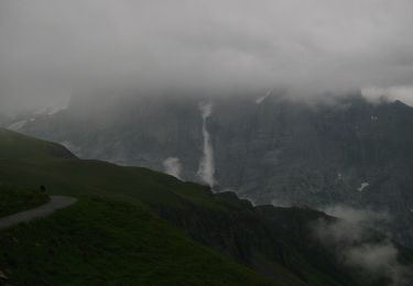 Excursión A pie Grindelwald - Scheidegg / Oberläger - Wildgärst - Photo